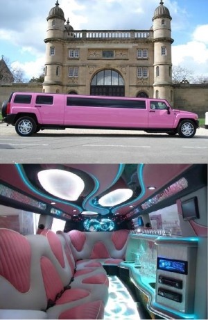 Pink Playboy Hummer