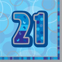 21st Birthday Blue Theme Decorations - 21st Birthday Decorations