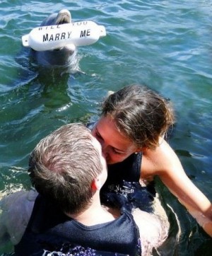 Dolphin Wedding Proposal